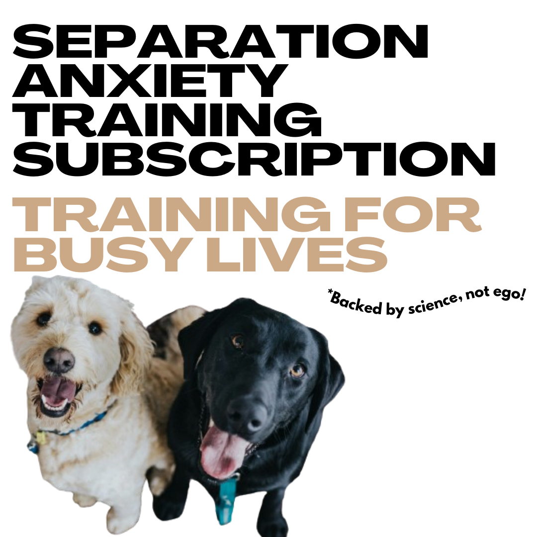 The Separation Anxiety Training Subscription - Training for busy lives