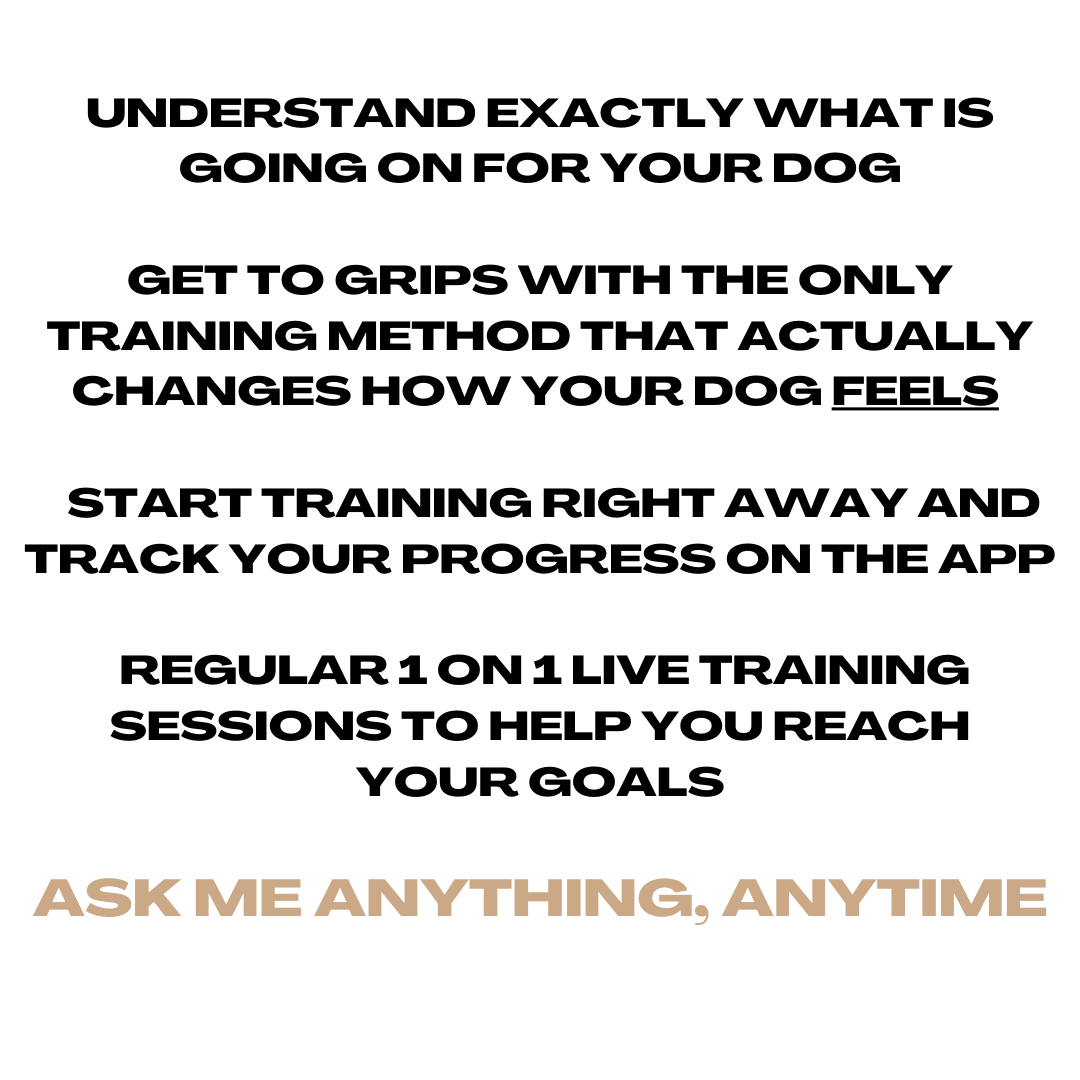 The Separation Anxiety Training Subscription - Training for busy lives