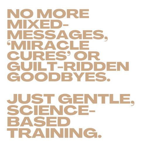 The Separation Anxiety Training Subscription - Training for busy lives